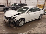Miniaturka zdjęcia 2