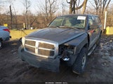 Dodge Dakota St 1D7HE22K96S632500 снимка
