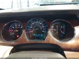 Miniaturka zdjęcia 7