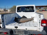 Jeep Gladiator Rubicon 4X4 1C6JJTBG2NL103270 снимка