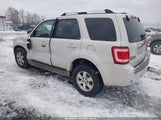 Ford Escape Limited 1FMCU0EGXAKC21890 снимка