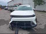 Miniaturka zdjęcia 6