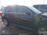 Chevrolet Equinox 1Lt 2GNALBEK8F6204604 снимка