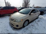 Toyota Corolla Le 2T1BU4EE5DC017896 снимка