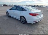 Hyundai Sonata Sport 5NPE34AF4GH426150 photo
