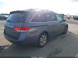 Honda Odyssey Ex-L 5FNRL5H67GB068764 снимка