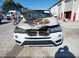 BMW X3 Sdrive28I 5UXWZ7C51G0T43019 fotografie