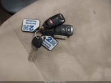 Miniaturka zdjęcia 11