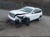 Miniaturka zdjęcia 2