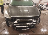 Miniaturka zdjęcia 6