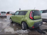 Miniaturka zdjęcia 6