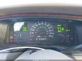 Miniaturka zdjęcia 7