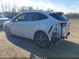 Miniaturka zdjęcia 3