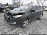 Ford Escape Titanium 1FMCU0J92DUB53505 fotografie