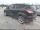 Ford Escape Titanium 1FMCU0J92DUB53505 снимка