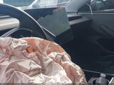 Miniaturka zdjęcia 7