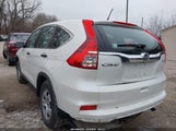 Honda Cr-V Lx 5J6RM4H34FL127899 снимка
