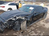 Miniaturka zdjęcia 2