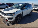 Jeep Compass Trailhawk 4X4 3C4NJDDB7LT184298 снимка