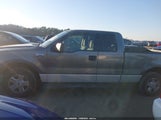 Ford F-150 Stx/Xl/Xlt 1FTRX12W44NC33902 fotografie