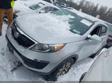 Kia Sportage Lx KNDPBCAC7F7782297 снимка