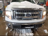 Ford F-150 Xlt 1FTFW1ET9DFD53938 снимка