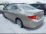 Toyota Corolla Le 2T1BU4EE8AC385159 снимка