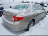 Toyota Corolla Le 2T1BU4EE8AC385159 снимка