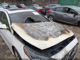 Hyundai Sonata Sport 2.0T 5NPE34AB0JH631517 снимка