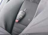 Miniaturka zdjęcia 11