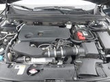 Miniaturka zdjęcia 10