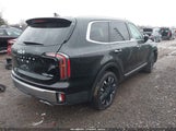 Kia Telluride Sx Prestige 5XYP5DGC8SG615769 fotografie
