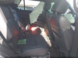 Miniaturka zdjęcia 8