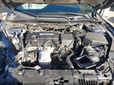 Honda Accord Lx 1HGCR2F31FA266972 снимка