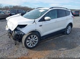 Miniaturka zdjęcia 2