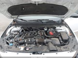 Honda Accord Sport Special Edition 1HGCV1F42MA084953 photo