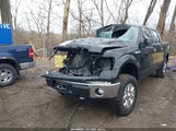 Ford F-150 Xlt 1FTFW1EF6DFA14631 снимка