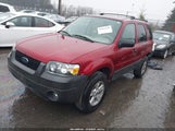 Ford Escape Xlt/Xlt Sport 1FMYU93196KA40473 fotografie