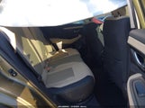 Miniaturka zdjęcia 8