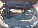 Honda Accord Ex-L V-6 1HGCR3F86EA027207 photo