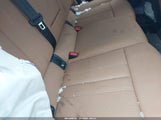 Miniaturka zdjęcia 8