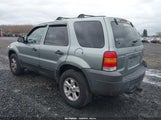 Ford Escape Xlt/Xlt Sport 1FMYU93176KB66332 fotografie