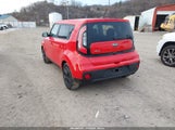 Miniaturka zdjęcia 3