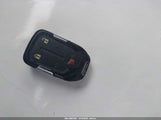 Miniaturka zdjęcia 11