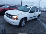 Chevrolet Trailblazer Ls 1GNDT13S242403510 снимка