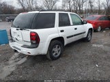 Chevrolet Trailblazer Ls 1GNDT13S242403510 снимка