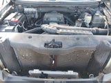 Miniaturka zdjęcia 10