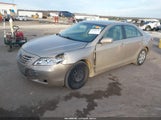 Toyota Camry 4T1BE46K19U313764 снимка