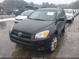 Toyota Rav4 JTMBF33V195007703 снимка