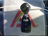 Miniaturka zdjęcia 11